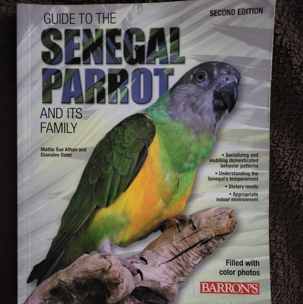 Guide to the Senegal Parrot